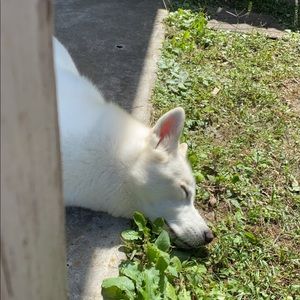 Meet your Posher, Jm